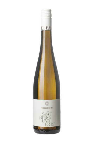 Spätburgunder Blanc de Noir Bio trocken, Qualitätswein, Gebrüder Bart, Pfalz, 2022